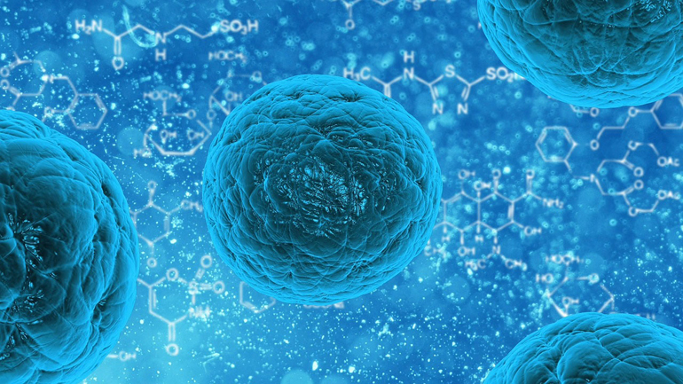 Использование человеческих стволовых клеток поможет в разработке новых методов лечения макулодистрофии